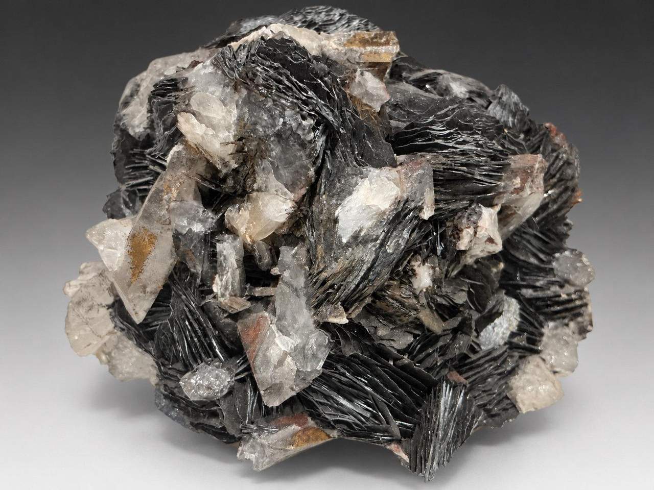 Hematite specimen photographed for Avalon Crystals and Minerals